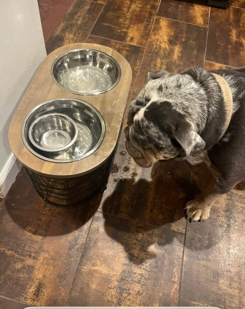 Stainless Steel Dog Bowls, 2 Pack, 50 oz, 7.2" Food & Water Bowls