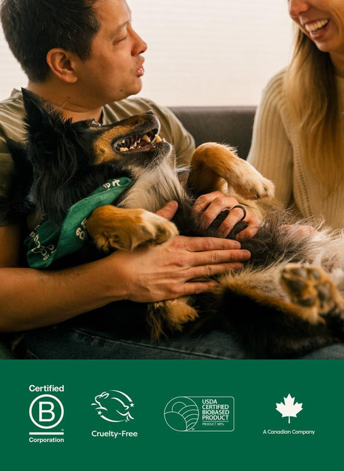 XL Pet Wipes for Dogs & Cats, Unscented Hypoallergenic, 60 Ct