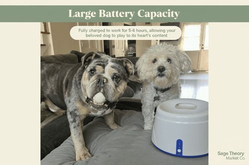 Large Battery Capacity